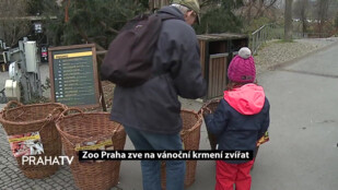 Zoo Praha zve na vánoční krmení zvířat