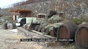 Vinice sv. Kláry nabízí odpočinek i kvalitní víno