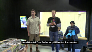 Návštěvníci Zoo Praha se přišli ohřát ke slonům
