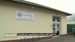 Útulek pro opuštěná zvířata měl napilno