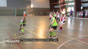 Pozemní hokej můžete hrát i v hale