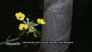 Lidé okusili noční kouzlo skleníku Fata Morgana