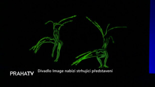 Divadlo Image nabízí strhující představení