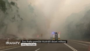 Zoo Praha pomůže Austrálii deseti miliony
