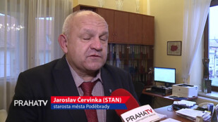 Poděbrady dotují kastraci koček