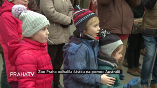 Zoo Praha odhalila částku na pomoc Austrálii