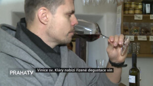 Vinice sv. Kláry nabízí řízené degustace vín