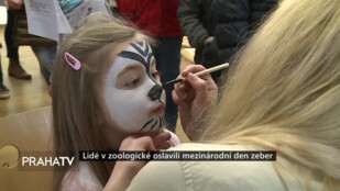Lidé v zoologické oslavili mezinárodní den zeber