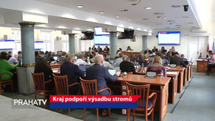 Kraj podpoří výsadbu stromů