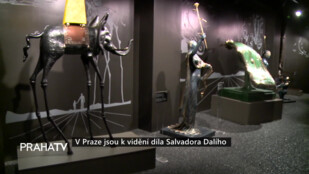 V Praze jsou k vidění díla Salvadora Dalího