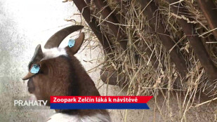 Zoopark Zelčín láká k návštěvě