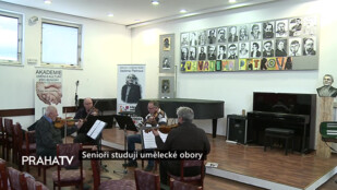 Senioři studují umělecké obory