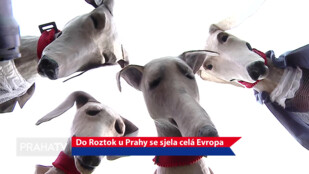 Do Roztok u Prahy se sjela celá Evropa