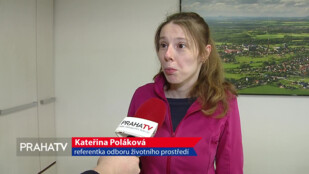 Kostelec se dočkal sběrného dvora