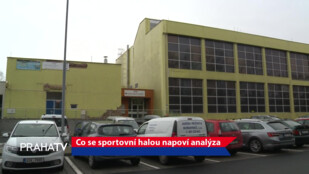 Co se sportovní halou napoví analýza