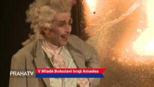 V Mladé Boleslavi hrají Amadea