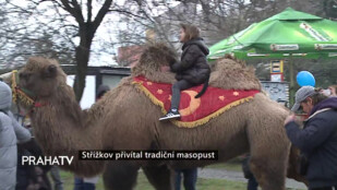 Střížkov přivítal tradiční masopust