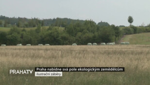 Praha nabídne svá pole ekologickým zemědělcům