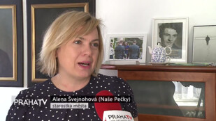 Pečky zrevitalizují park