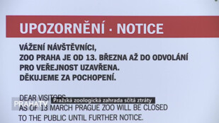 Pražská zoologická zahrada sčítá ztráty