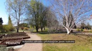 Botanická zahrada s přicházejícím jarem rozkvétá
