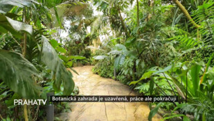 Botanická zahrada je uzavřená, práce ale pokračují