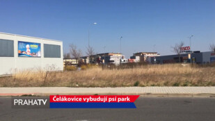 Čelákovice vybudují psí park