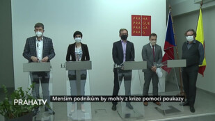 Menším podnikům by mohly z krize pomoci poukazy