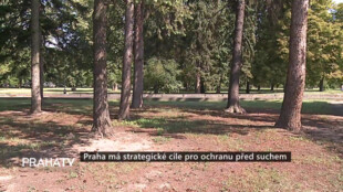 Praha má strategické cíle pro ochranu před suchem