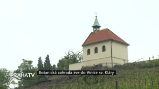 Botanická zahrada zve do Vinice sv. Kláry