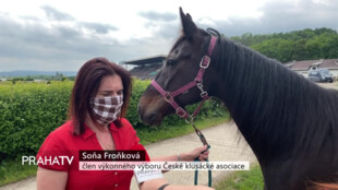 Sobota ve Velké Chuchli bude patřit klusákům