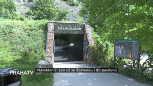 Návštěvníci zoo už se dostanou i do pavilonů
