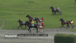 Klusáci tentokrát poběží v neděli