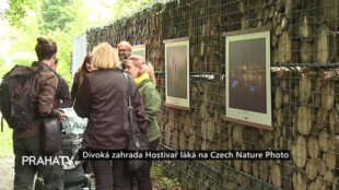 Divoká zahrada Hostivař láká na Czech Nature Photo