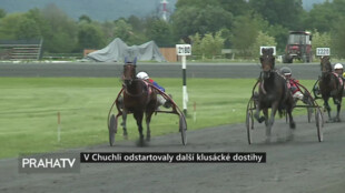 V Chuchli odstartovaly další klusácké dostihy