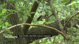 Zoo Praha otevřela novou expozici