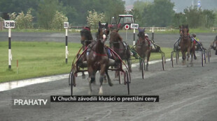 V Chuchli závodili klusáci o prestižní ceny