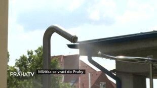 Mlžítka se vrací do Prahy
