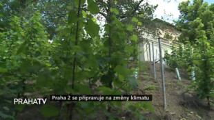 Praha 2 se připravuje na změny klimatu