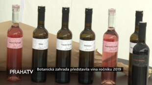 Botanická zahrada představila vína ročníku 2019
