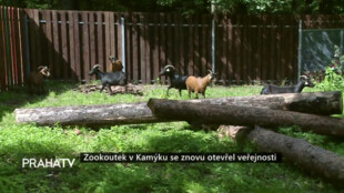 Zookoutek v Kamýku se znovu otevřel veřejnosti