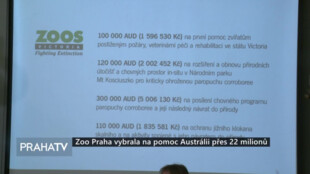 Zoo Praha vybrala na pomoc Austrálii přes 22 milionů