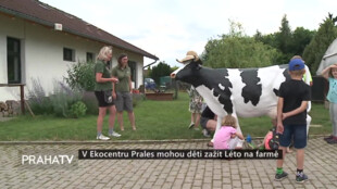 V Ekocentru Prales mohou děti zažít Léto na farmě