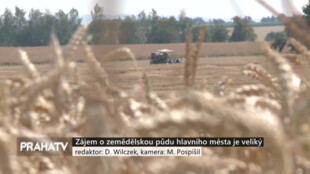 Zájem o zemědělskou půdu hlavního města je veliký