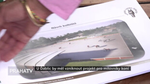 U Ďáblic by měl vzniknout projekt pro milovníky koní