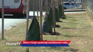 Obce v kraji využívají zavlažovací vaky