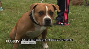 Bulíci se opět sejdou v Centrálním parku Prahy 13