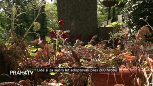 Lidé si za sedm let adoptovali přes 200 hrobů