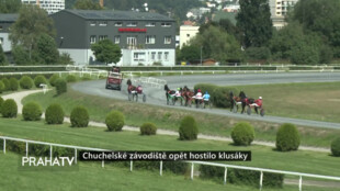 Chuchelské závodiště opět hostilo klusáky