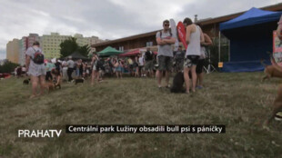 Centrální park Lužiny obsadili bull psi s páníčky